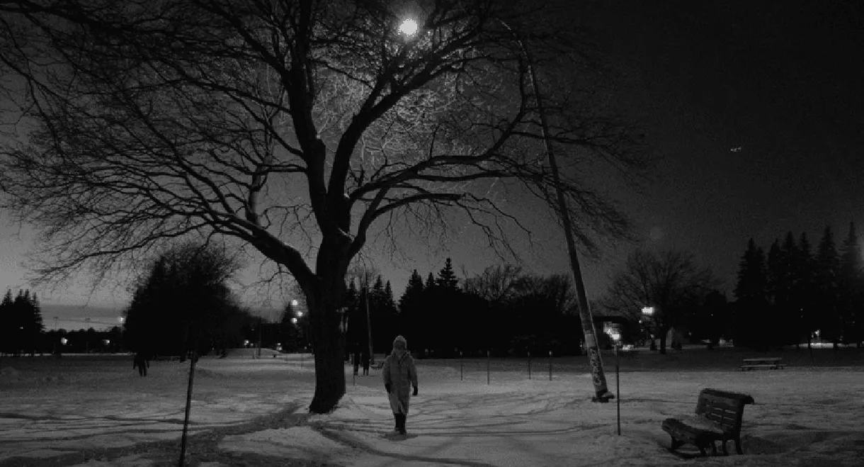 Snowflakes at the End of the World