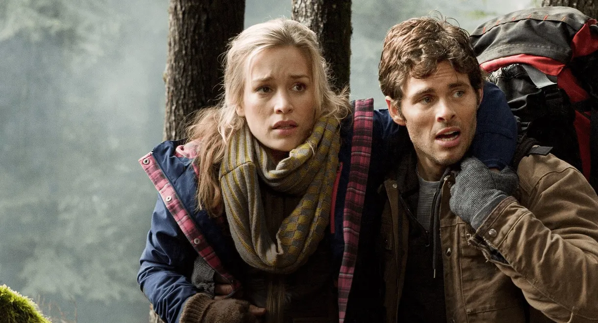 Into the Grizzly Maze