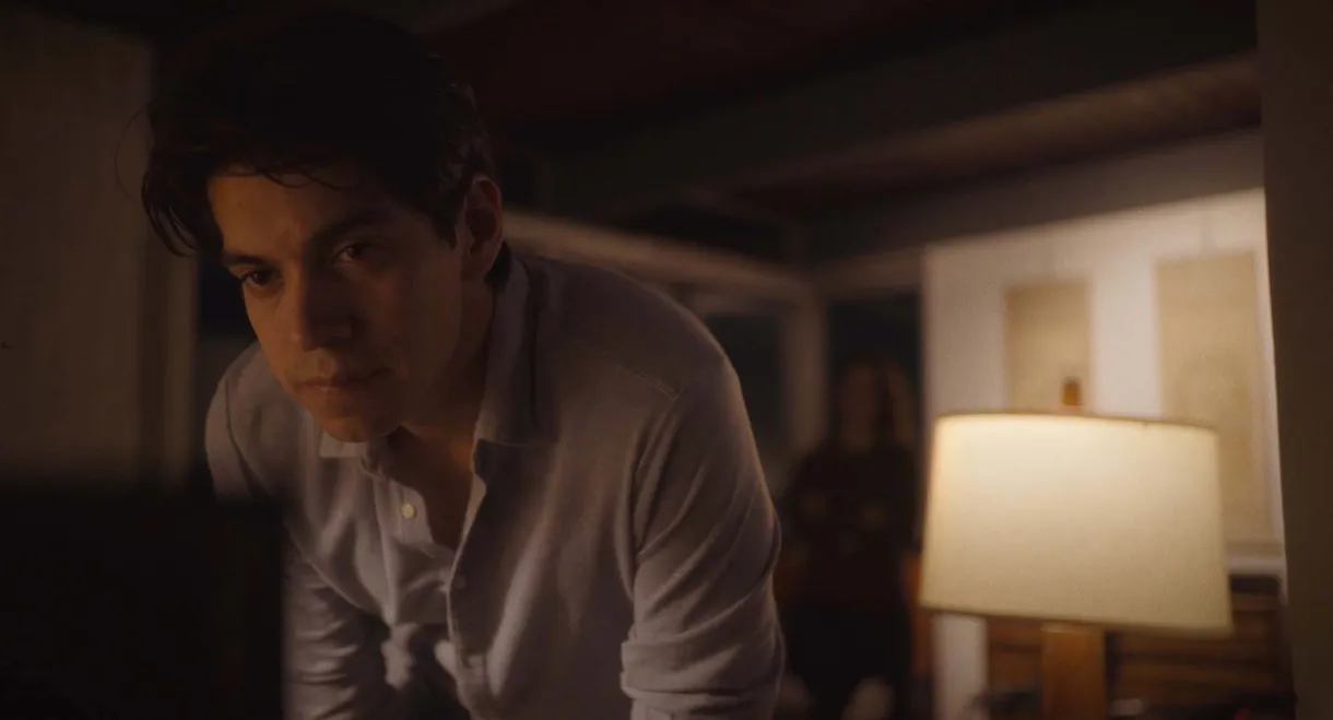 We Only Have Tonight