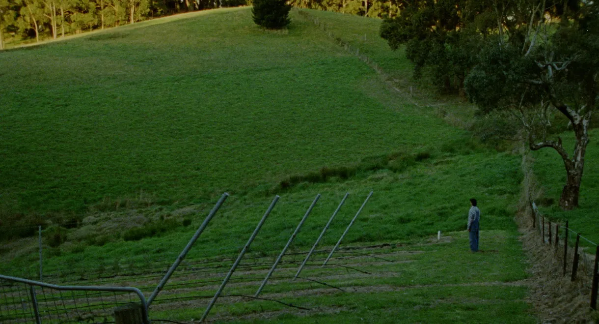 Does It Come With a Warranty?