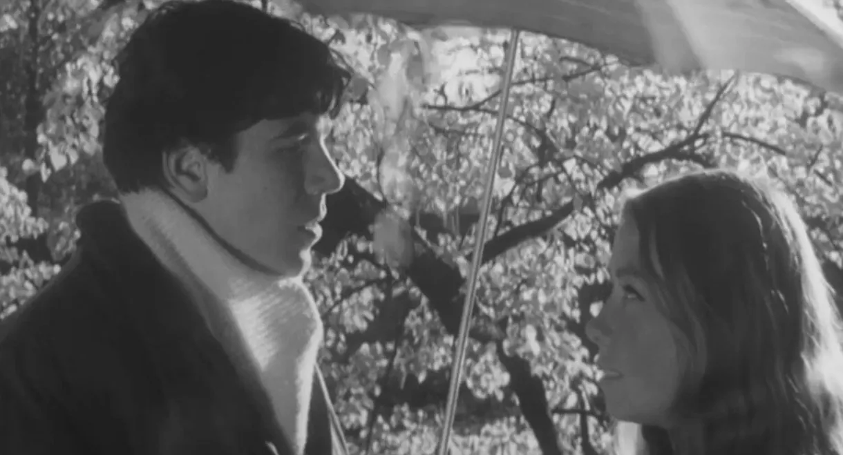 Bridegroom From Medvedkino