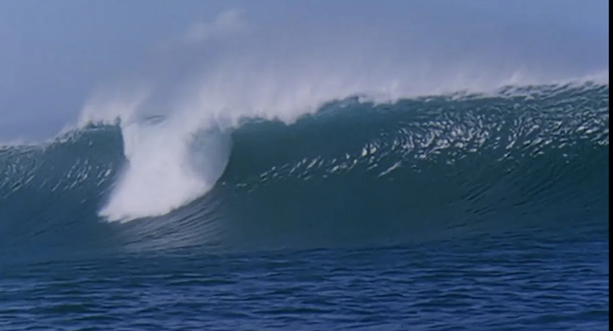 Big Wave