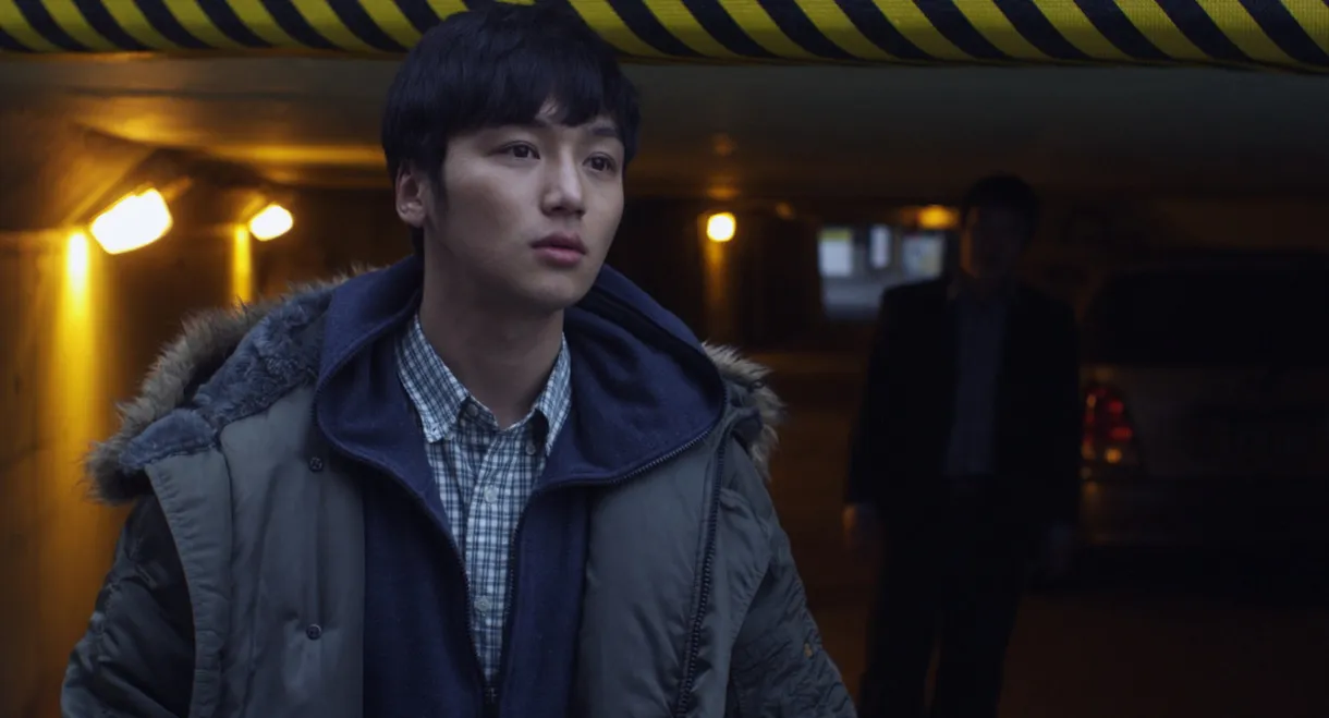 The Night of the Witness