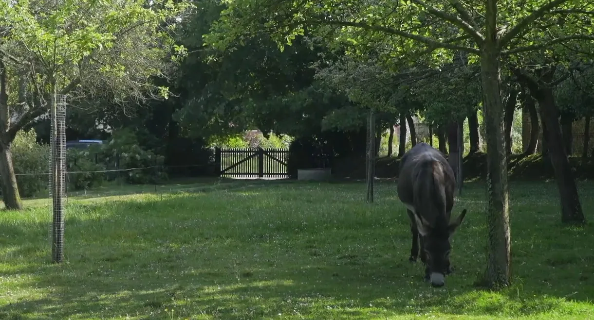 I Am Pierre Creton, Normand and Filmmaker