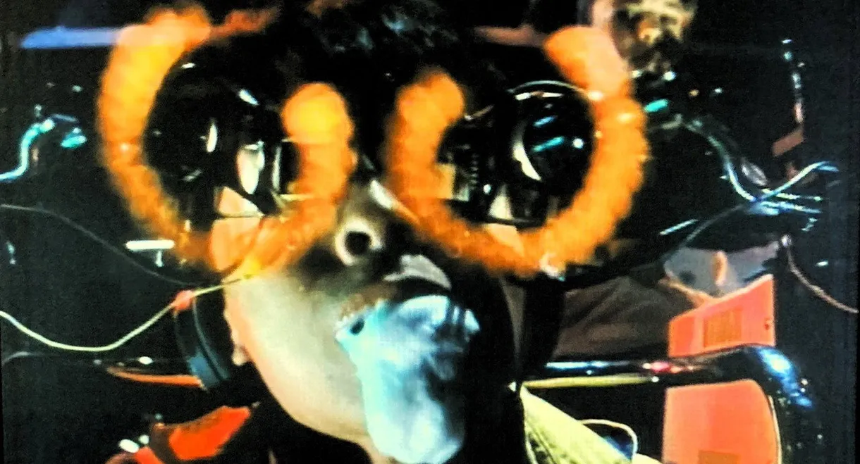 It's All Right, My Friend