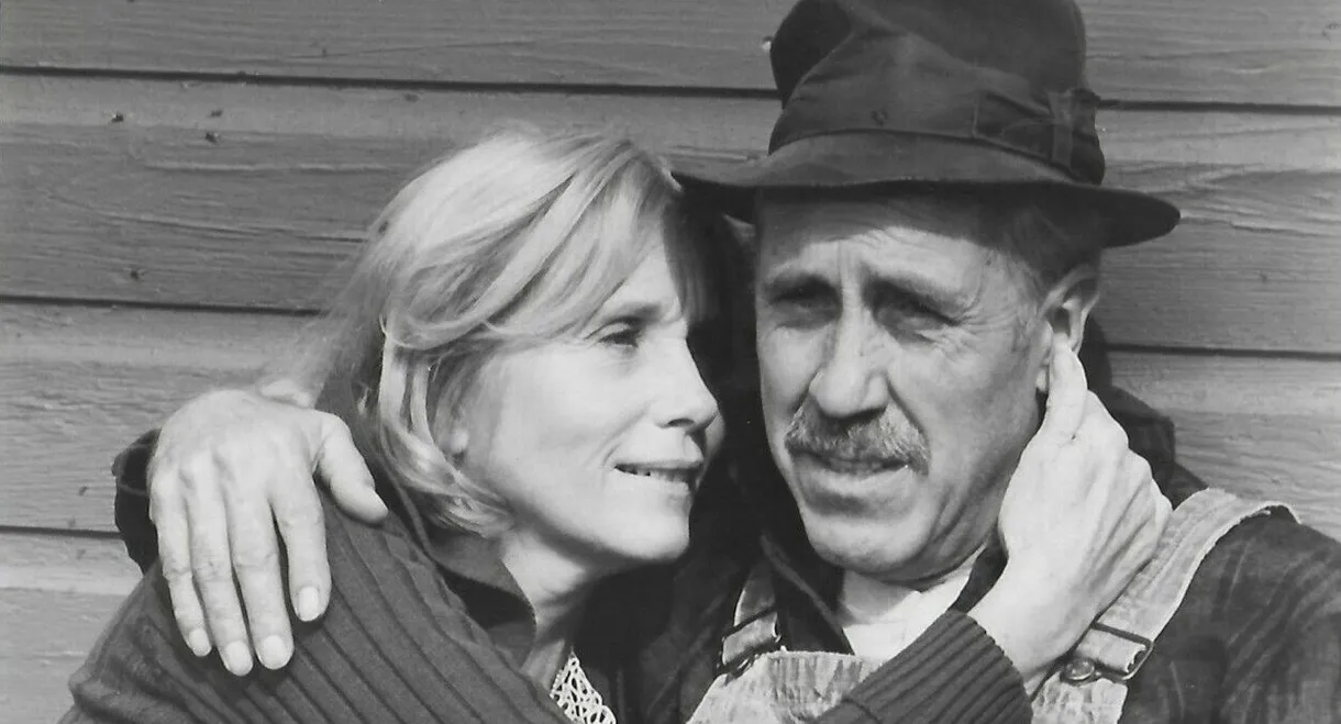 A Christmas to Remember