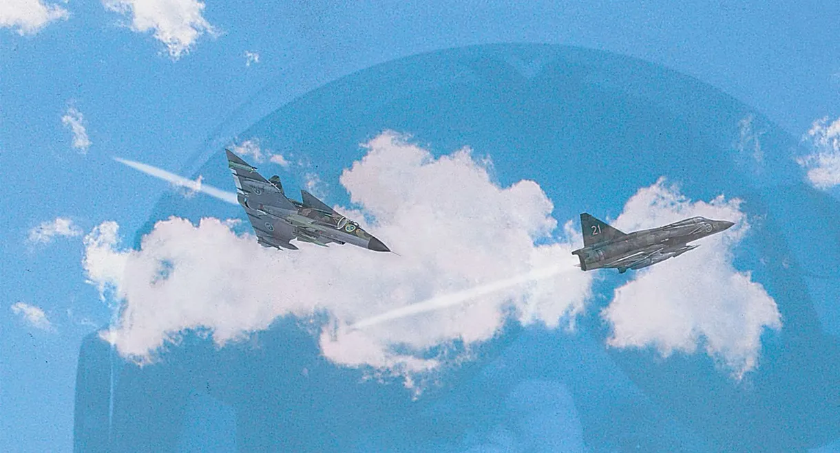 Älskar älskar inte