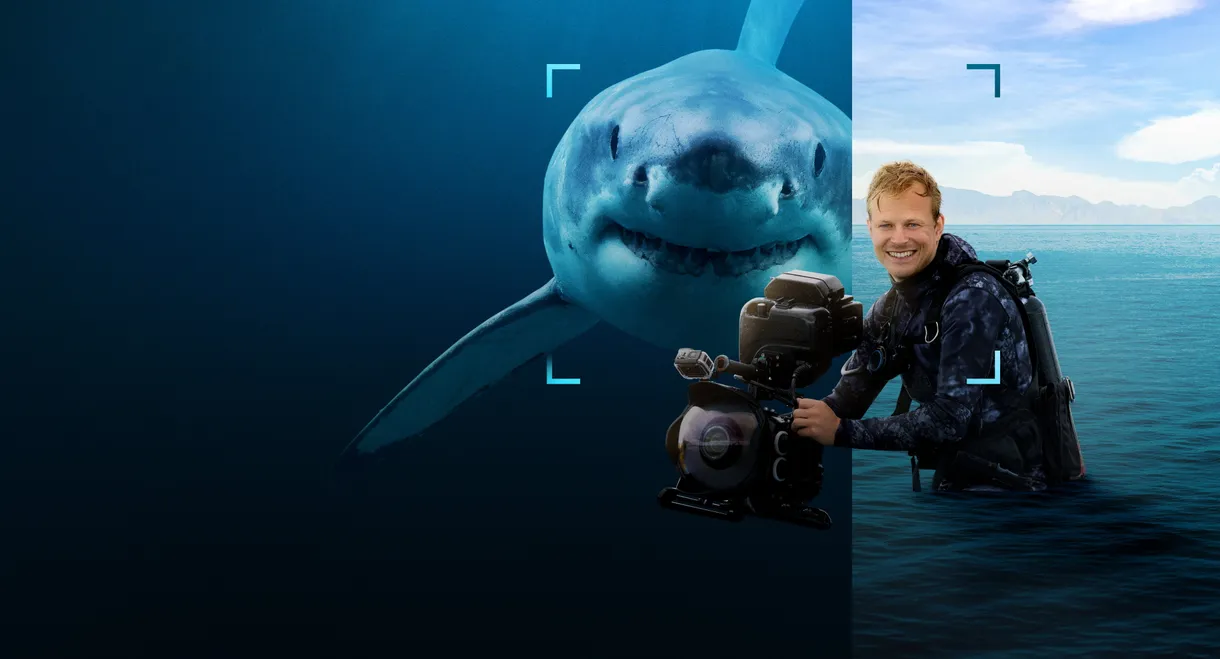 Sharks Up Close with Bertie Gregory