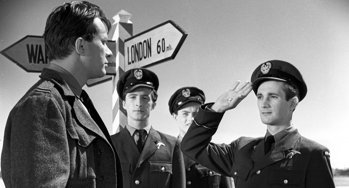 Historia jednego myśliwca