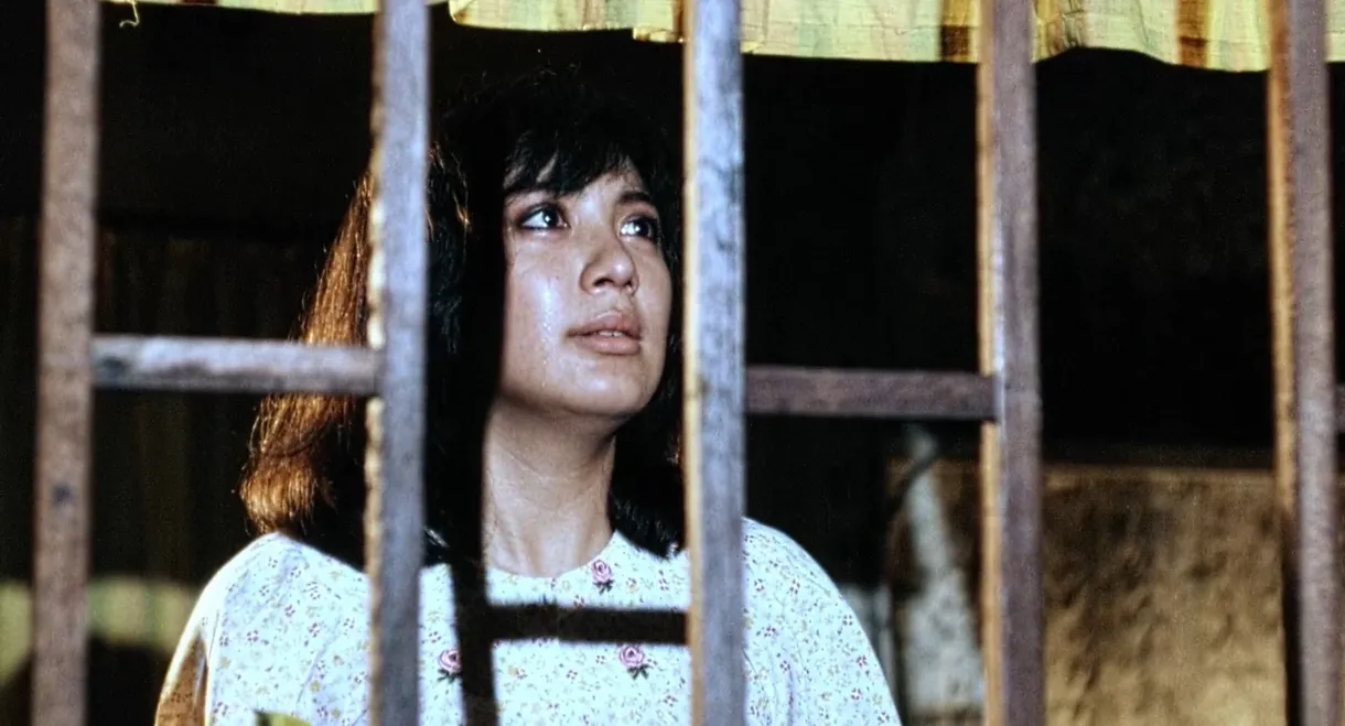 Tomorrow the Stars Will Kneel