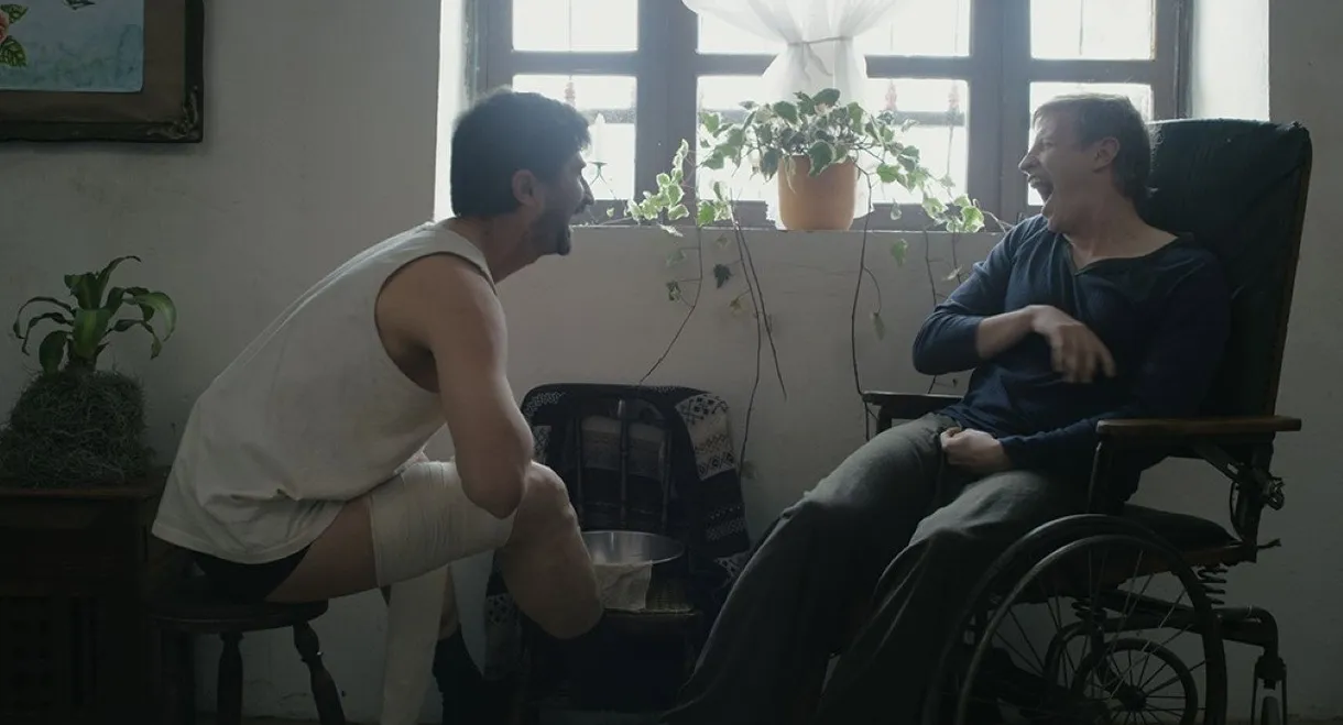 Nubes grises soplan sobre el campo verde