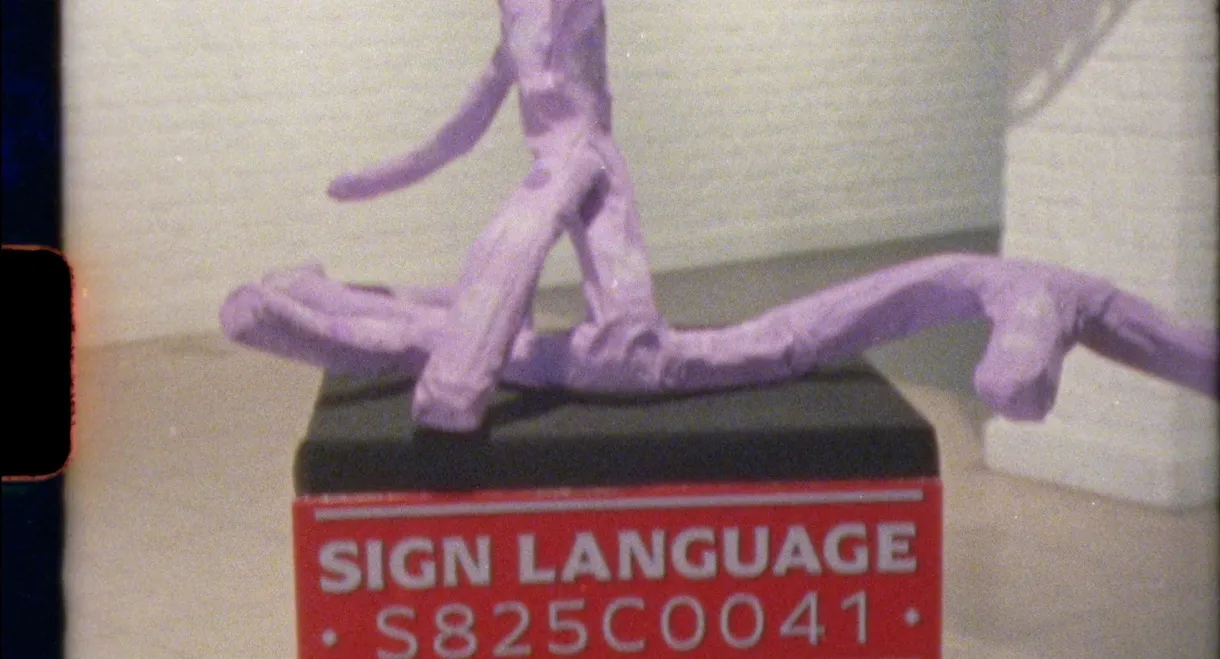 Sign Language