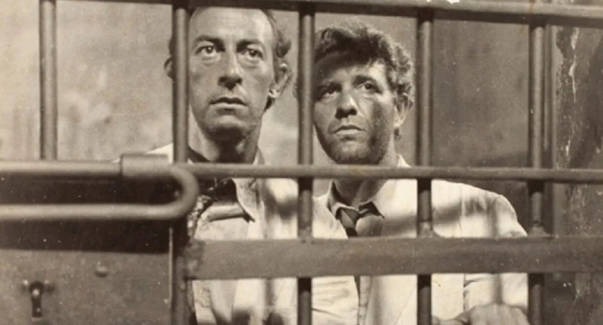 Case of the Naves Brothers