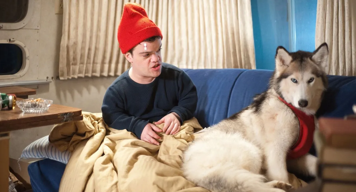 An Insignificant Harvey