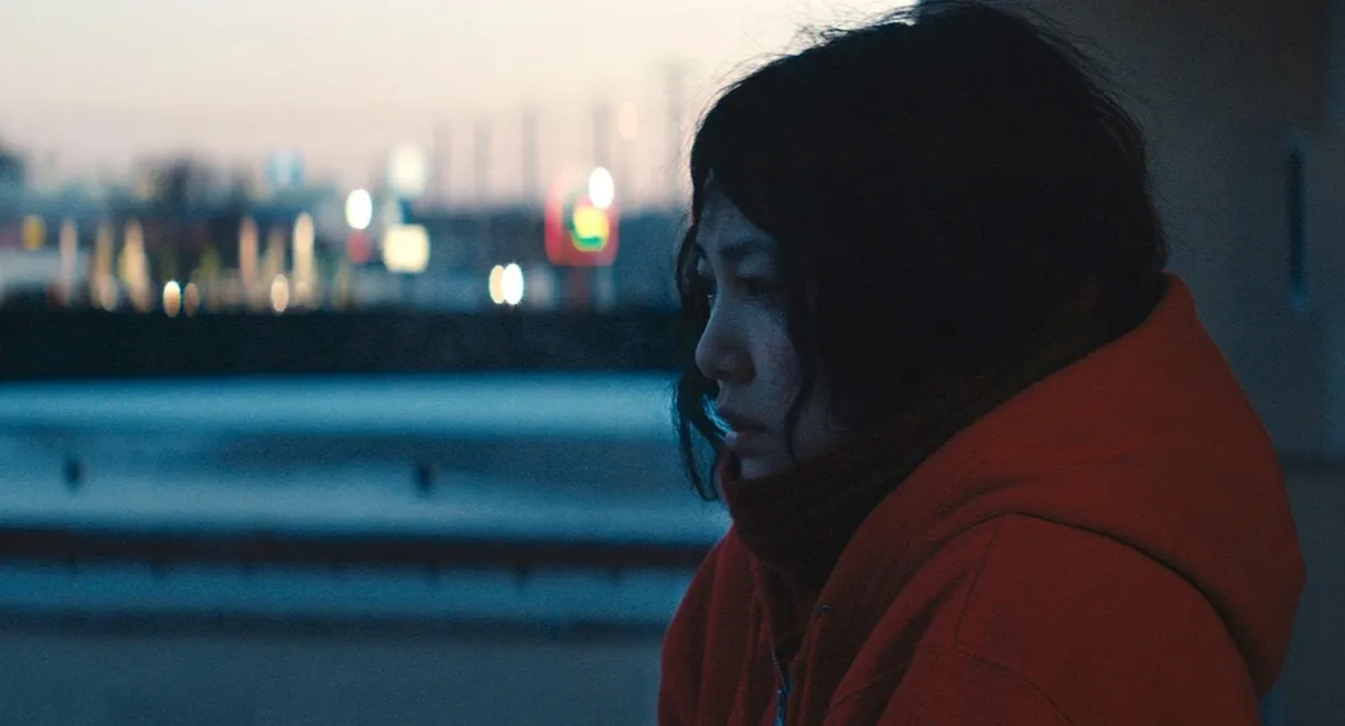 Kumiko, the Treasure Hunter