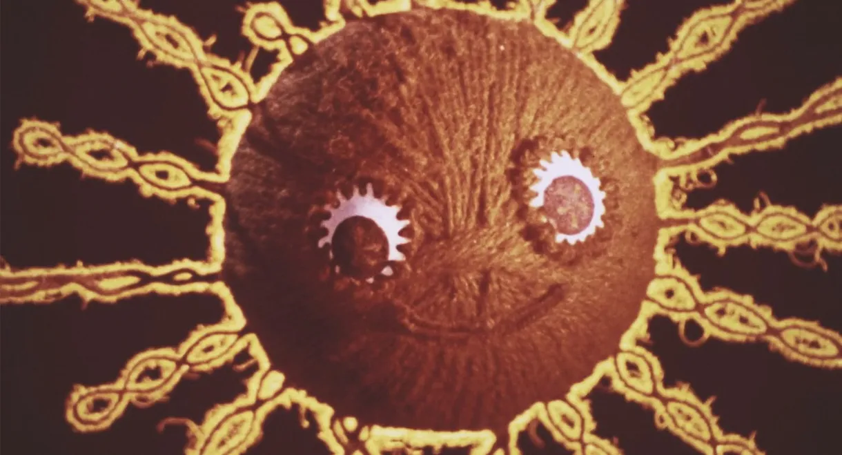 The Thread and the Kitten