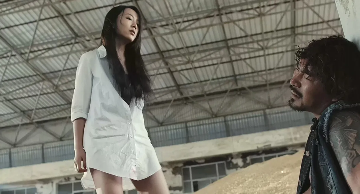 The Stampede Detectives