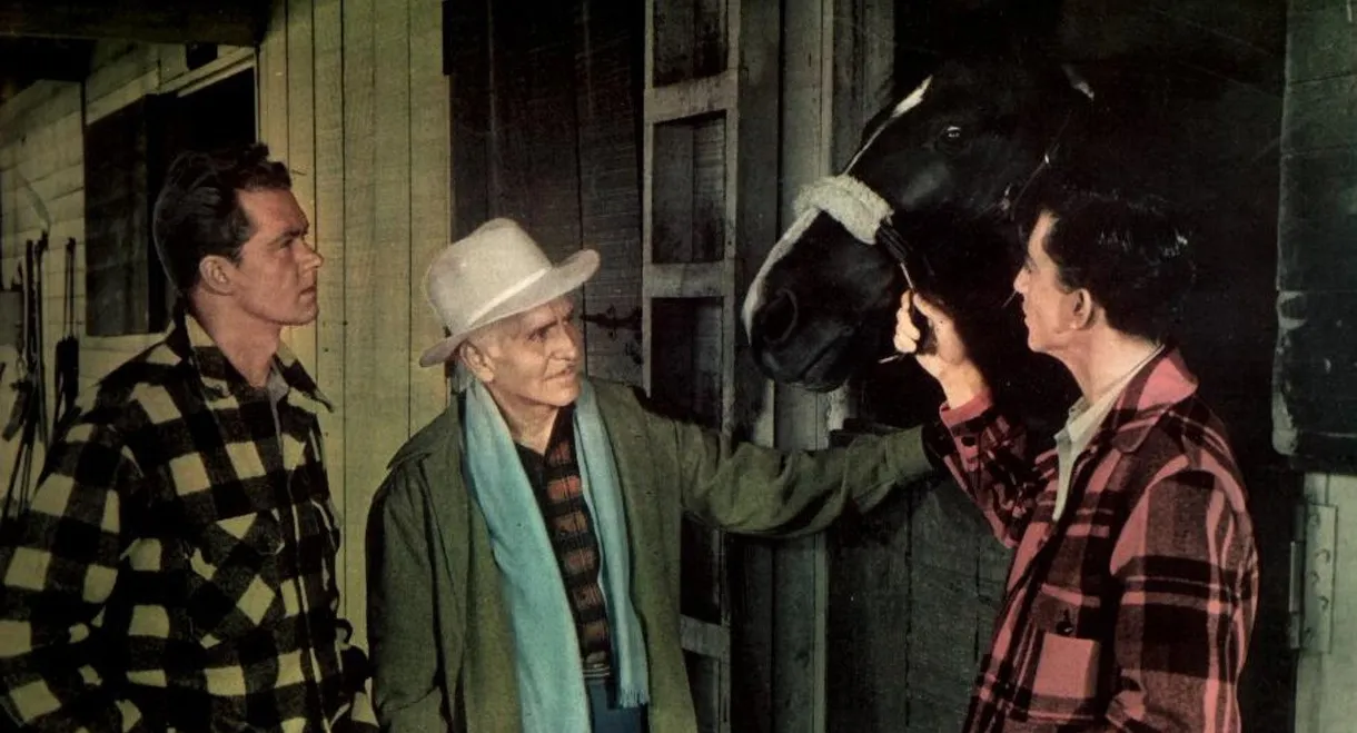 Blue Grass of Kentucky