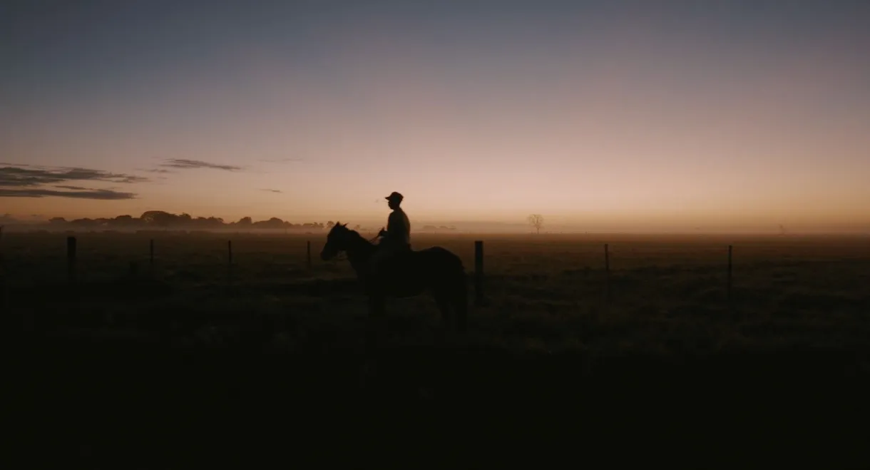 Resolve in Venezuela