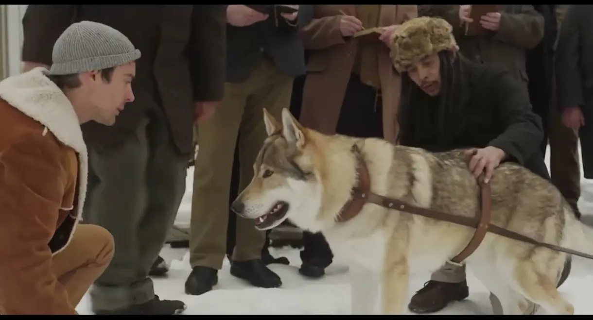 Jack London’s Son of the Wolf