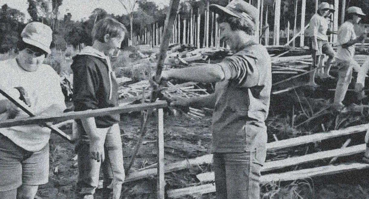 O Sonho de Rose: 10 Anos Depois