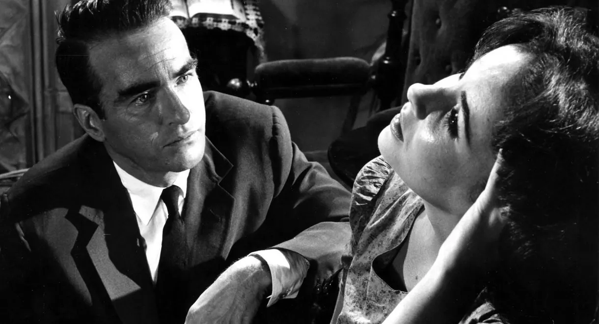 Suddenly, Last Summer