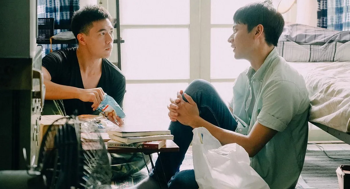 Shiba San and Meow Chan