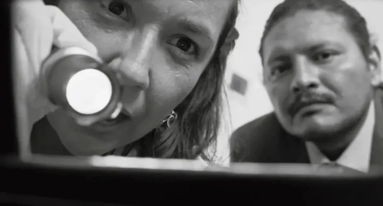 Movimentos Migratórios