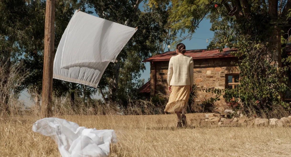 Under the Hanging Tree