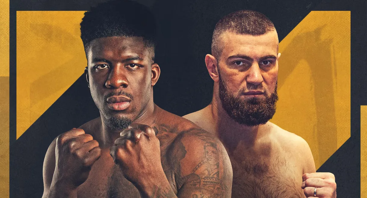David Adeleye vs. Dmytro Bezus