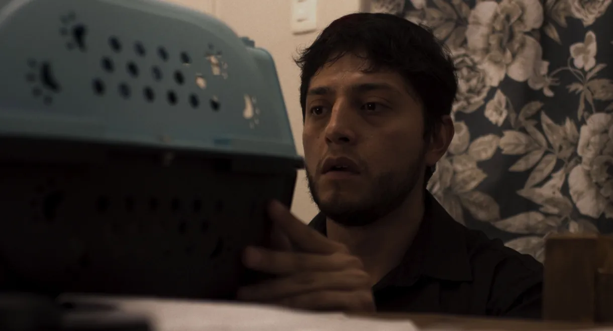 I Plead Time Does Not Take You Away