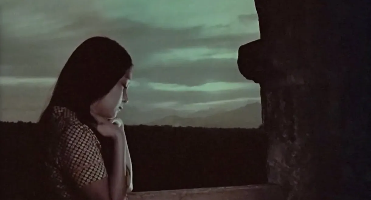 Three Years Without God