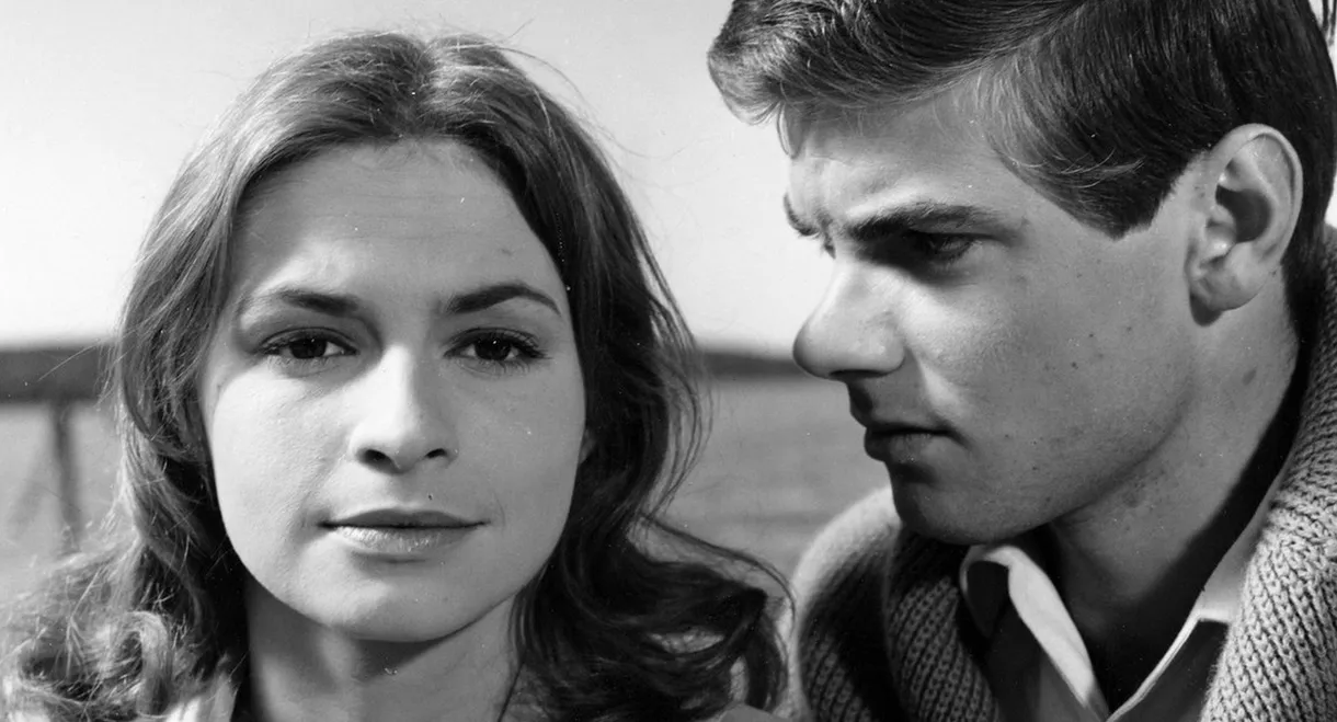 Good Friends and Faithful Neighbors