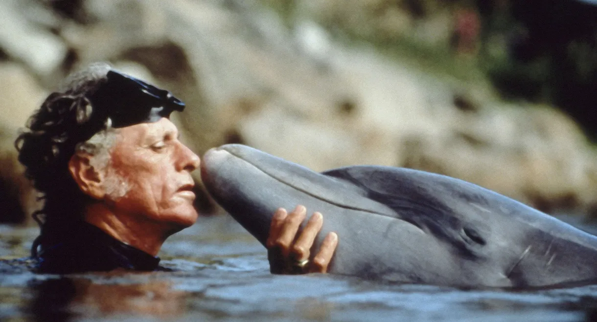 The Cove