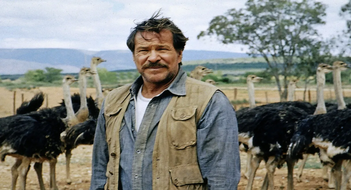 Einmal so wie ich will