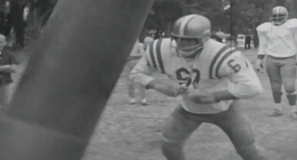 Pro Football: Mayhem on a Sunday Afternoon