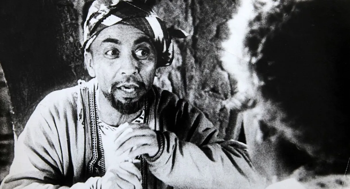 The Adventures of Nasreddin