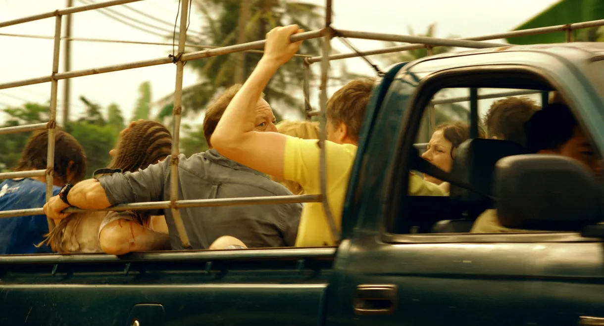 Tsunami - Das Leben danach