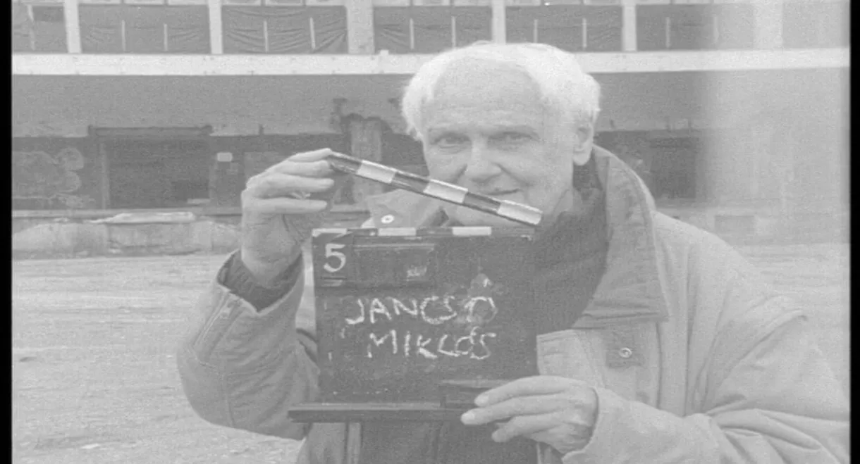 Negative history of Hungarian cinema