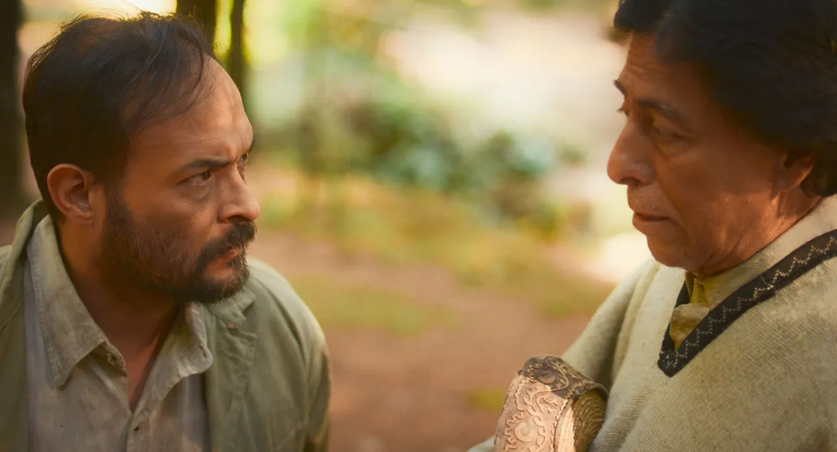 WHAT HIDES WHITIN THE SHADOWS