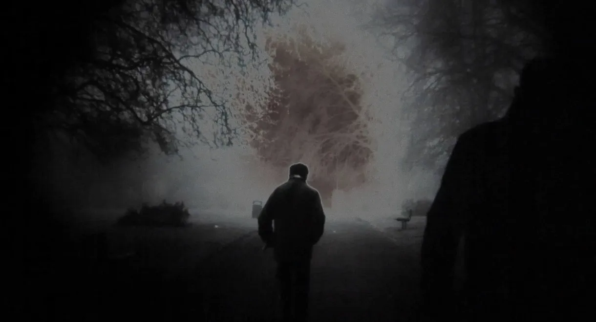 Ten Years In The Sun