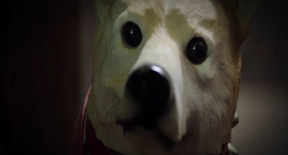 The Incredible Truth