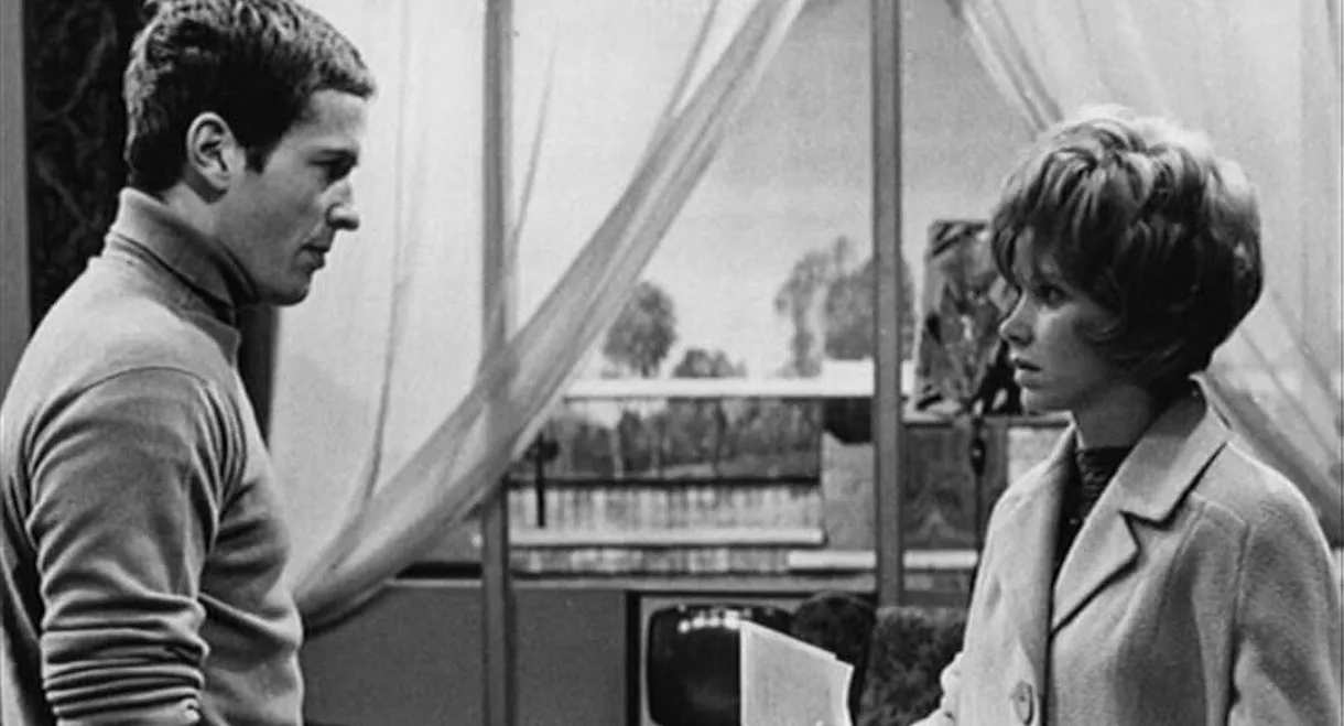 Satisfaction Guaranteed