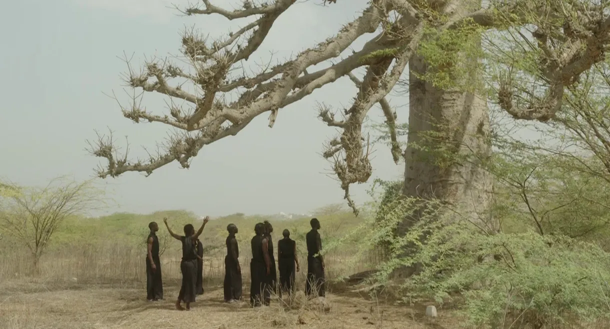 Germaine Acogny - The Essence of Dance