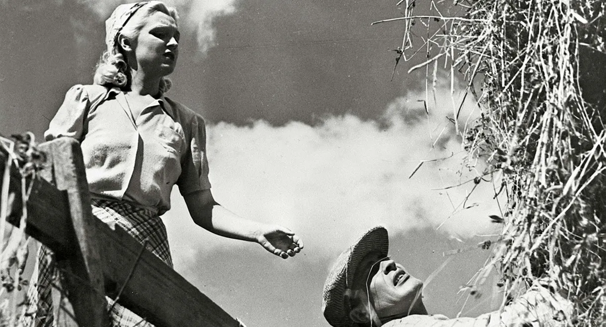 Oi, kallis Suomenmaa