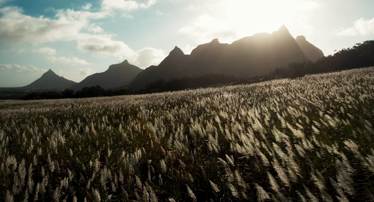 L’Offrande d’une vie