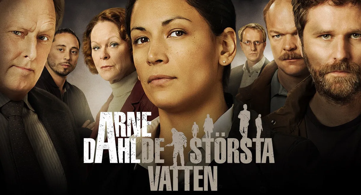 Arne Dahl: Many Waters