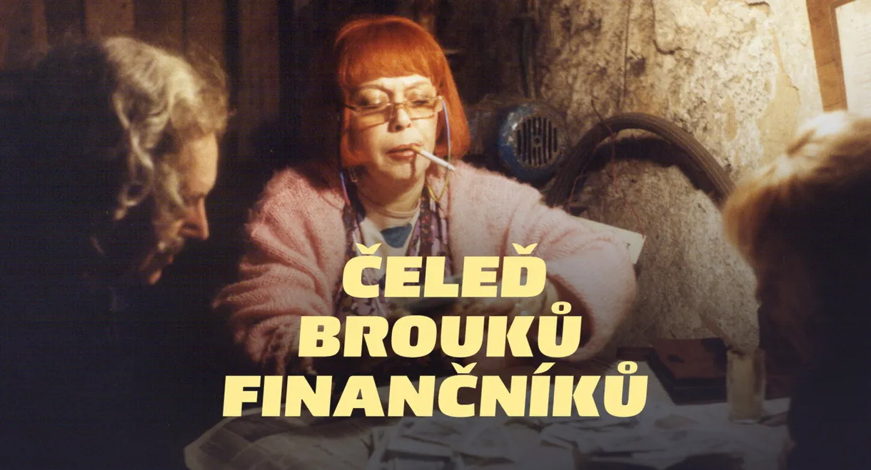 Čeleď brouků finančníků