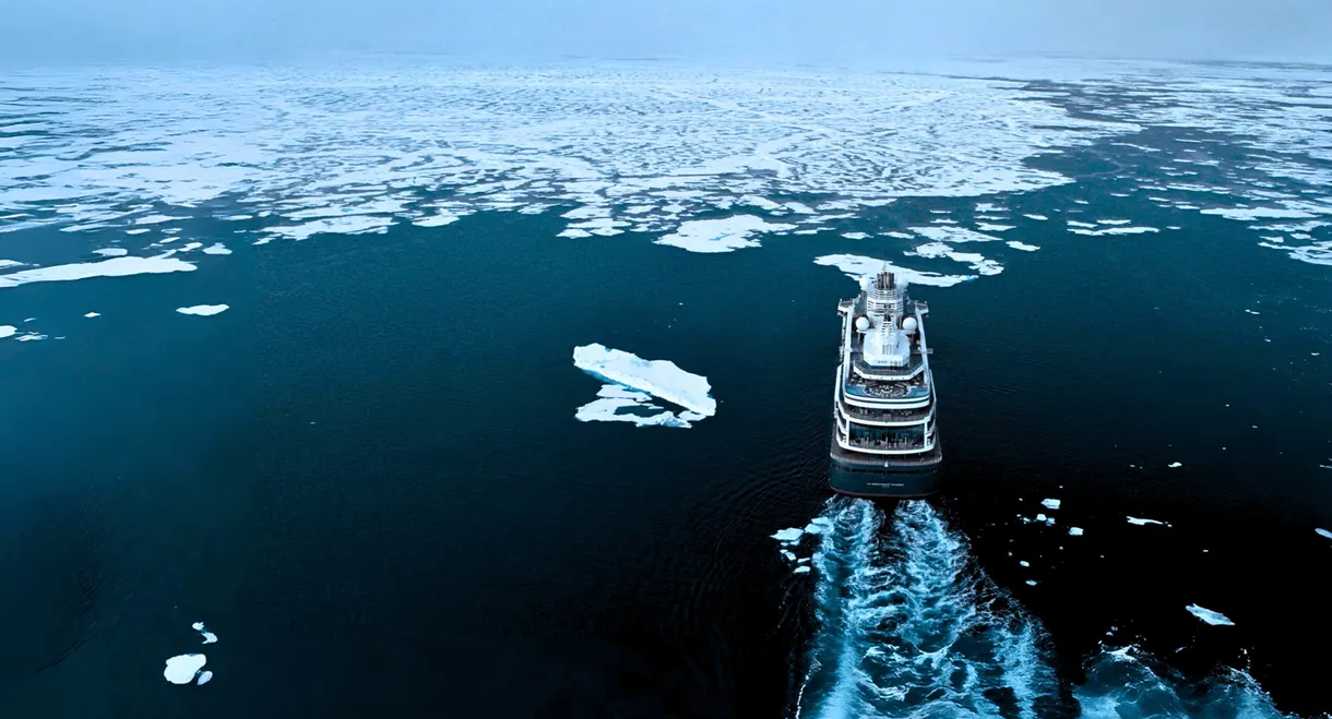 Chuck Norris: Private Lesson