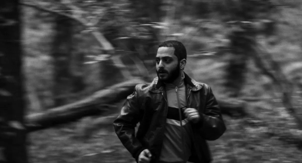 The Sap (Under Our Tongues)